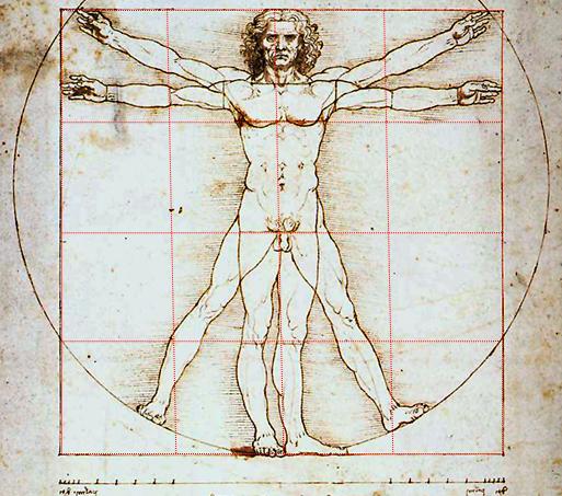 El hombre vitruviano, según los «Diarios» de Leonardo da Vinci (ca. 1492), Galleria dell'Accademia, Venecia